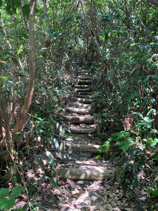 日本・静岡県「カーフェリ旅」の写真：天上山
