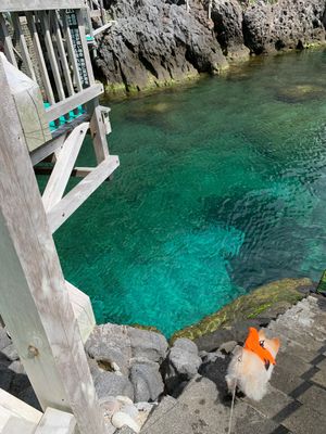 名組湾とトロッコ跡
ぶっ通し岩
赤崎遊歩道
飛び込み、シュノーケリングを楽...