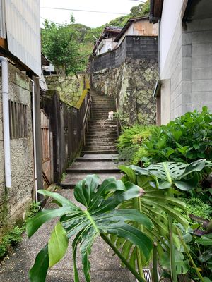 カーフェリーは神津島しかでなかった。他の島は欠航。リスクある旅、、超ついてる！