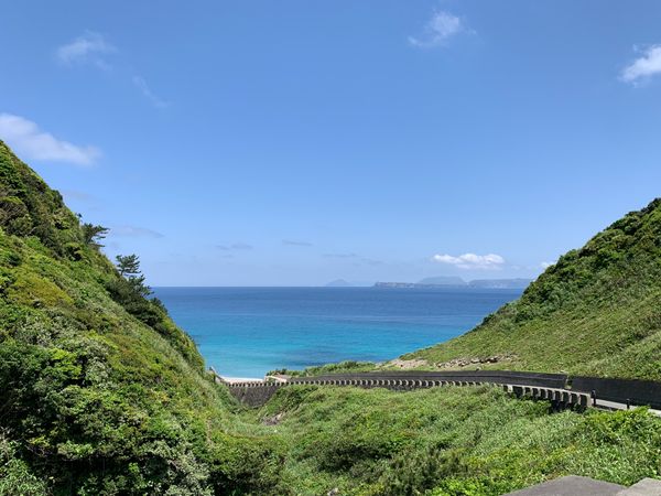 日本・静岡県「カーフェリ旅」の写真：返浜