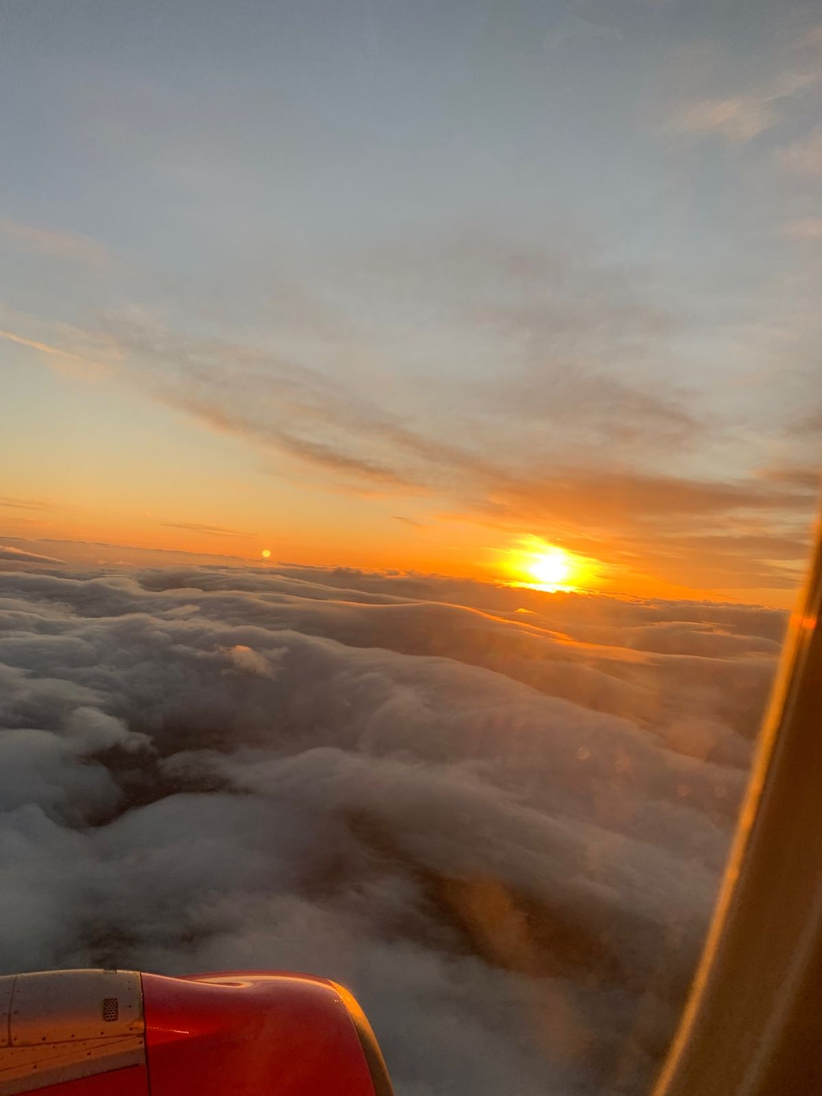 体調崩して大変でした