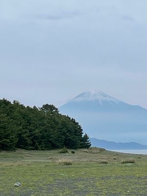 少し霞んだ富士山も趣きあってよかった