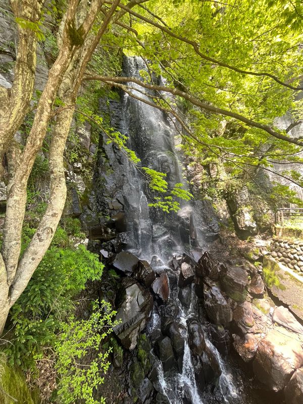 日本・岐阜県「🏕️ひるがのキャンプ　with遥綾乃」の写真