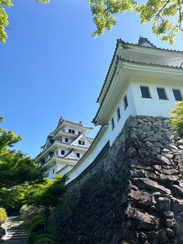 日本・岐阜県「郡上八幡日帰り」の写真