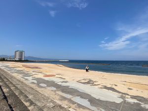 別府で美味しいラーメン食べて、海をお散歩‼️海の匂いすごかった