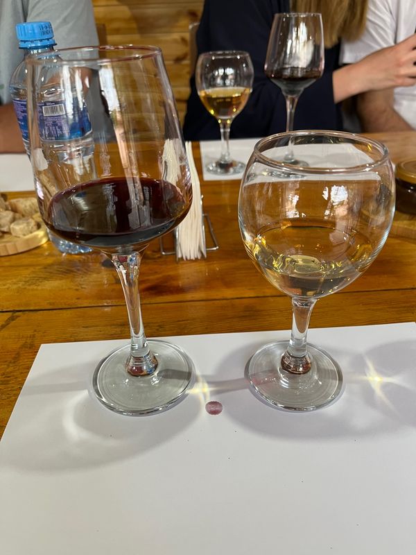 ジョージア・トビリシ「GWジョージア2024🇬🇪」の写真：カヘティ③