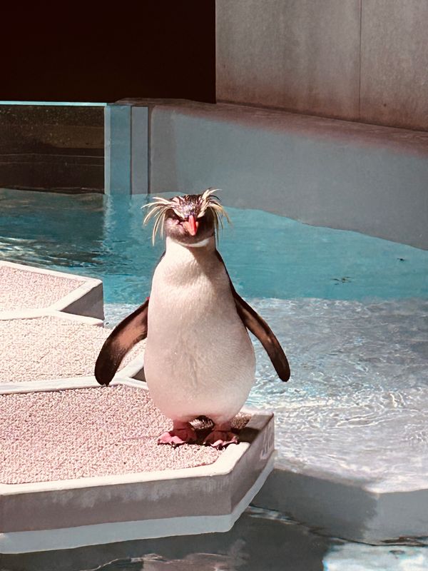 日本・北海道「北海道旅行」の写真