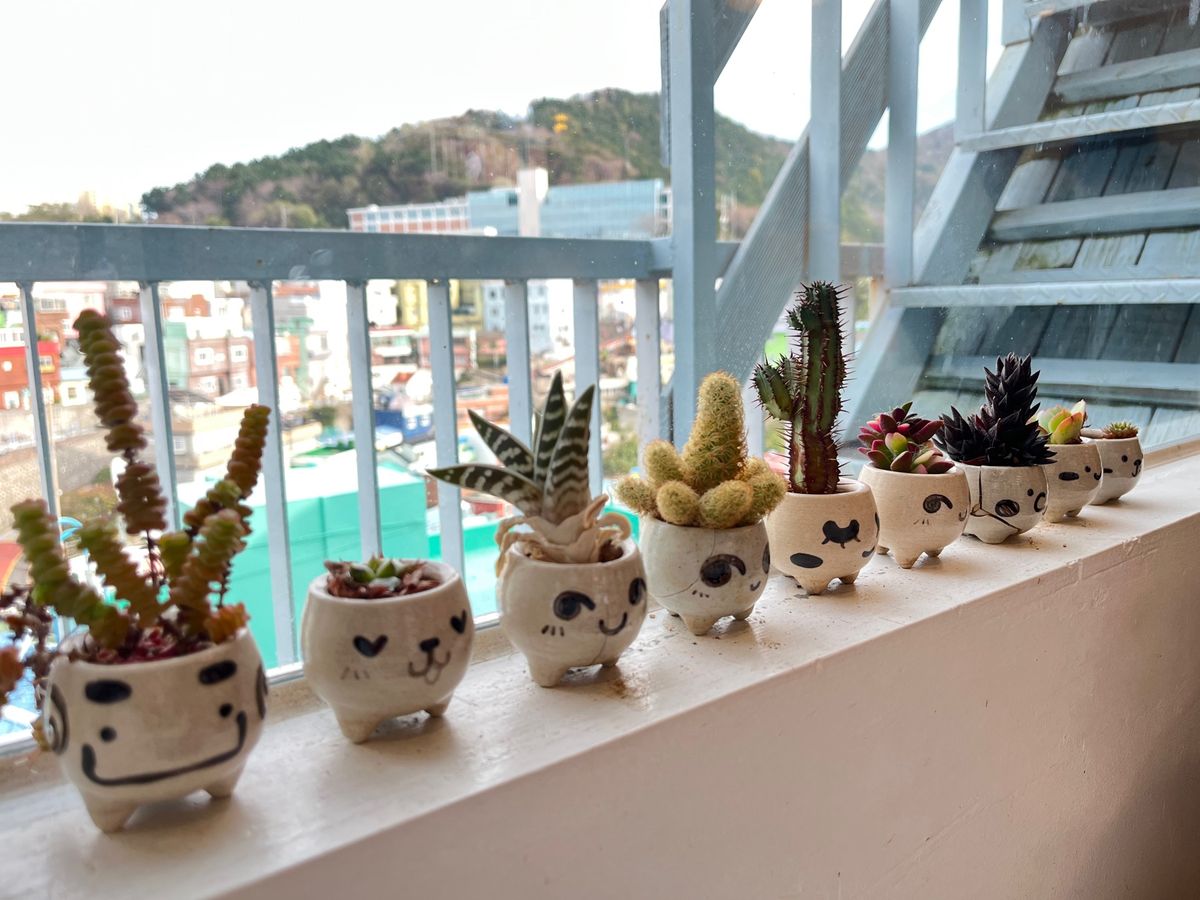 １日目❤︎甘川文化村観光🚶
ランチはビビンバ🍴微妙だった🙃