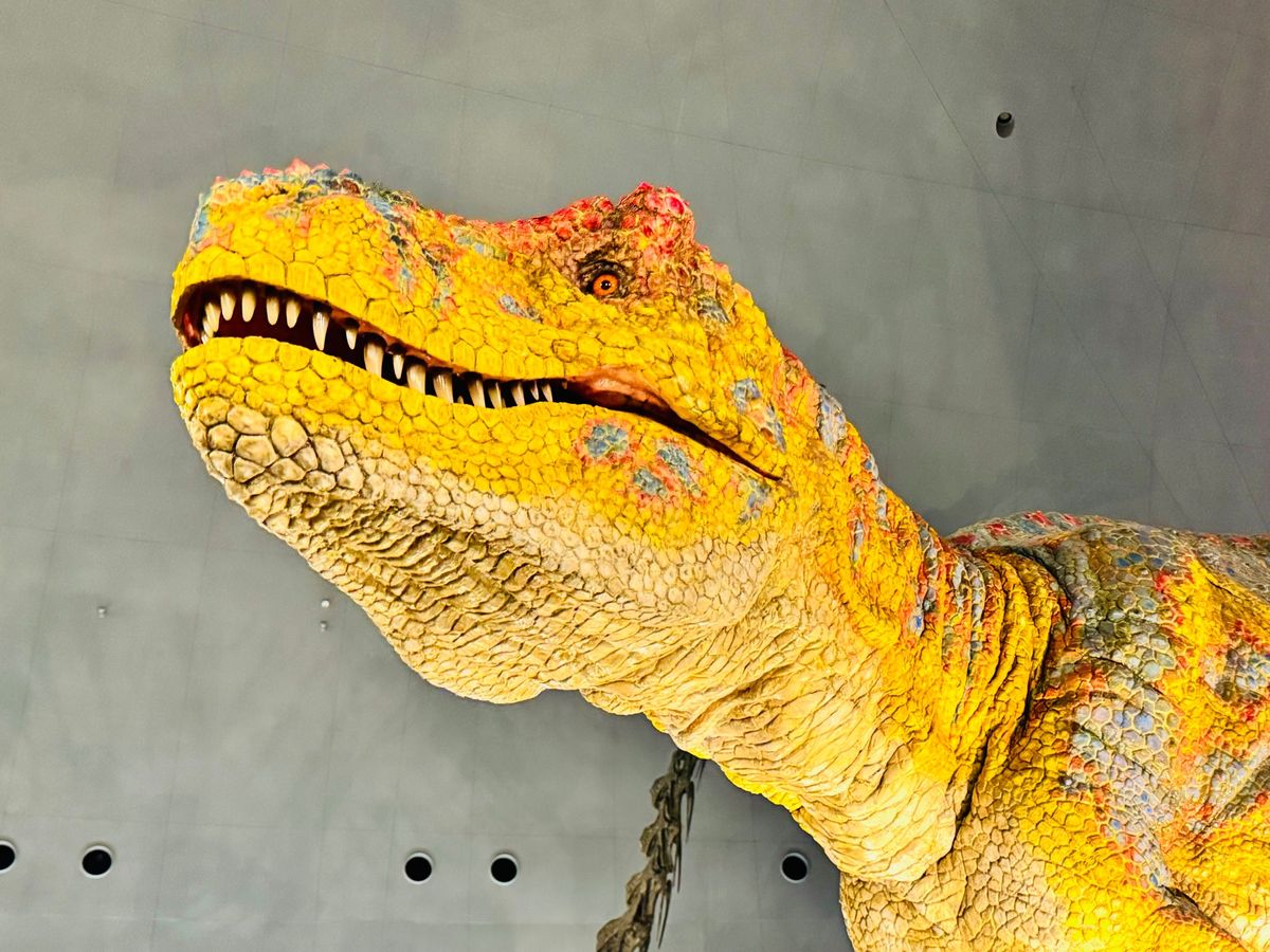 勝山恐竜の森🦖