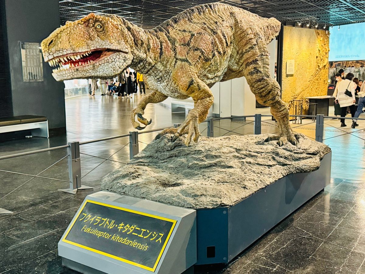 勝山恐竜の森🦖