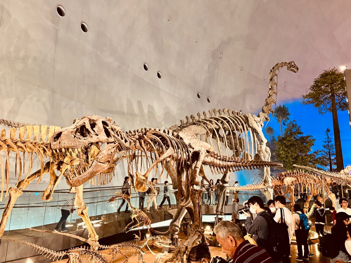 勝山恐竜の森🦖