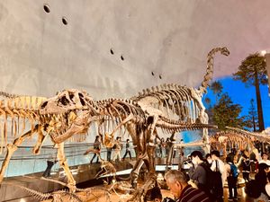 勝山恐竜の森🦖
