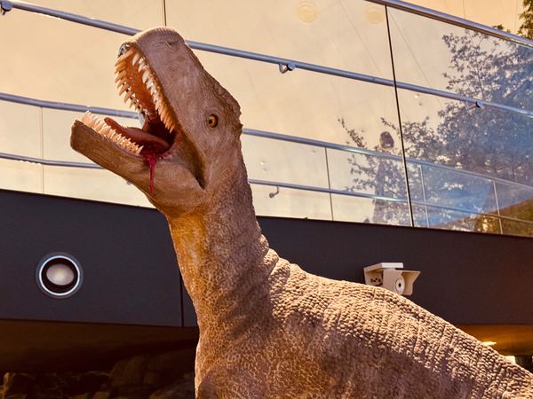 日本・福井県「福井旅行」の写真