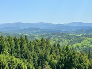 宇陀松山城へ。
山頂からの眺めは素晴らしかったです。

帰りに道の駅で足湯...