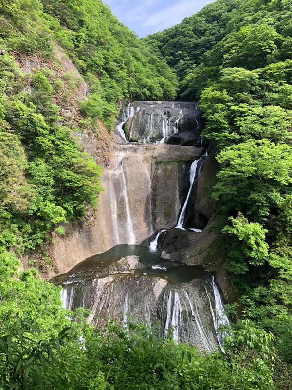 日本・ひたち海浜公園「茨城県日帰り旅行♡2024」の写真