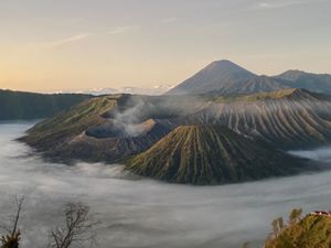 ブロモ山絶景でした！登ってよかった👍