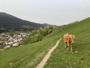 メスティア
朝。軽トラの中古がたくさんいて面白い、日本そのまま右ハンドル。...