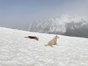 メスティア
上り後半は雪中行軍状態になってきました。今回は偶然トレッキング...