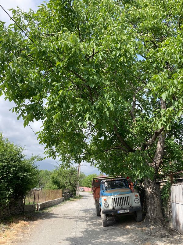 ジョージア・トビリシ「ジョージア」の写真：この日もエニセリの町を散歩。ほとんどレス...