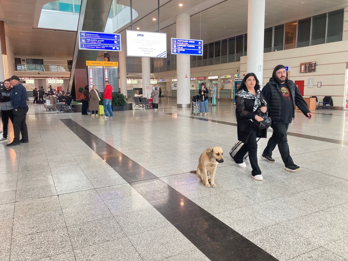 トビリシ空港。
ハチャプリ柄などの名物靴下の自販機は硬貨を吸い込むだけ吸い...