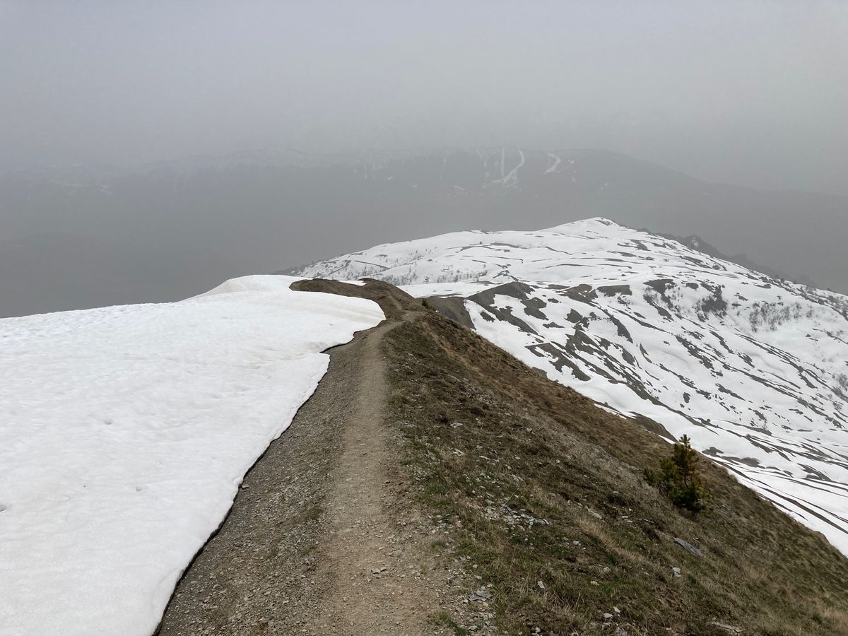 メスティア
上り後半は雪中行軍状態になってきました。今回は偶然トレッキング...