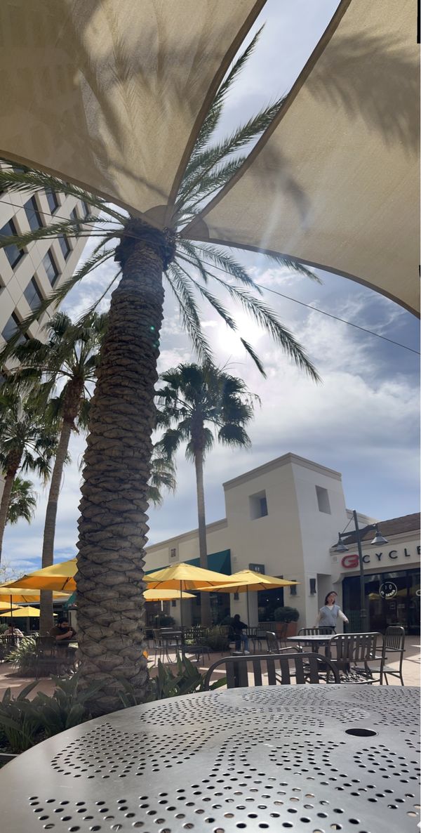 アメリカ(米国)・ロサンゼルス「カリフォルニア 語学研修留学」の写真：現地の学生と最後のmeeting時間で一...