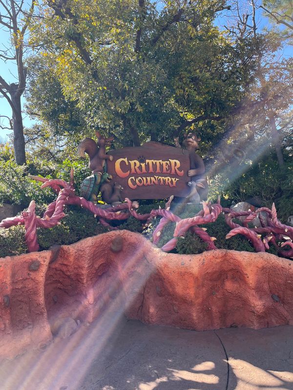 日本・千葉県「東京ディズニーランド＆東京観光」の写真：3/13 大好きなアトラクション スプラ...