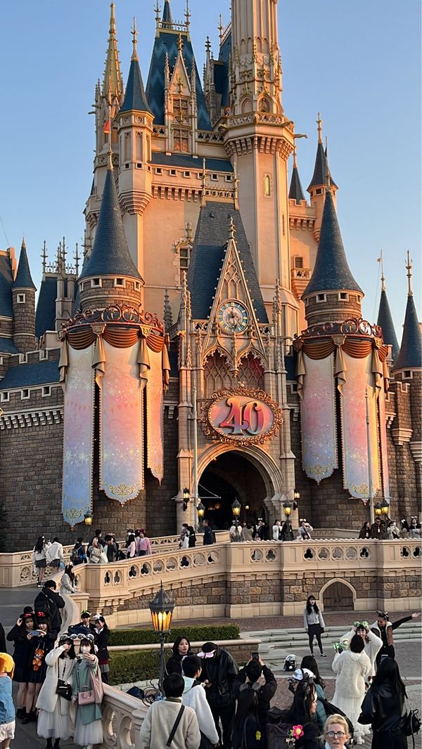 日本・千葉県「東京ディズニーランド＆東京観光」の写真：3/13 40周年