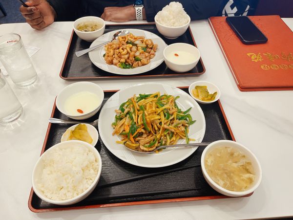 日本・千葉県「東京ディズニーランド＆東京観光」の写真：3/12 