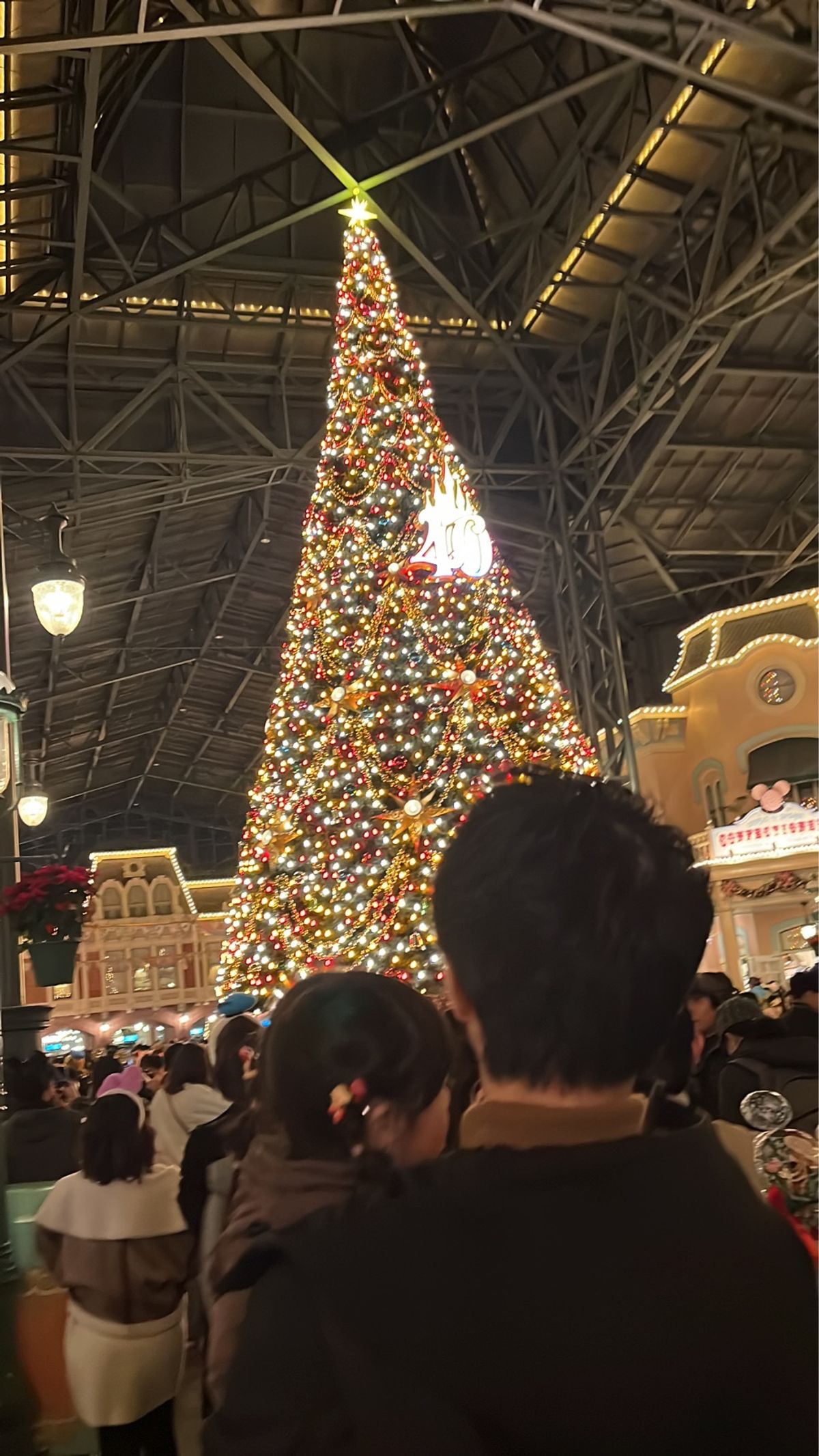 シンデレラ城＆クリスマスツリー