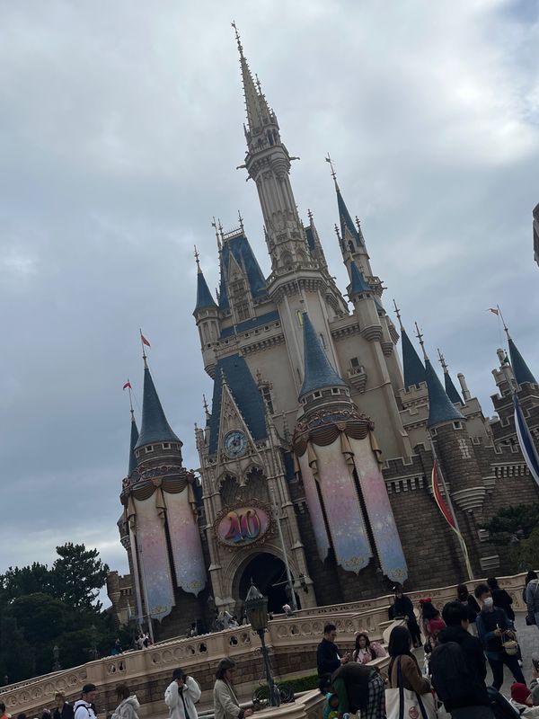 日本・千葉県「東京ディズニーランドの旅」の写真：シンデレラ城＆クリスマスツリー