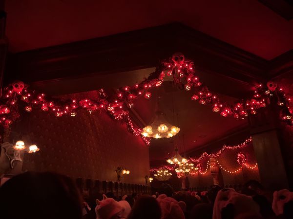 日本・千葉県「東京ディズニーランドの旅」の写真：アトラクション