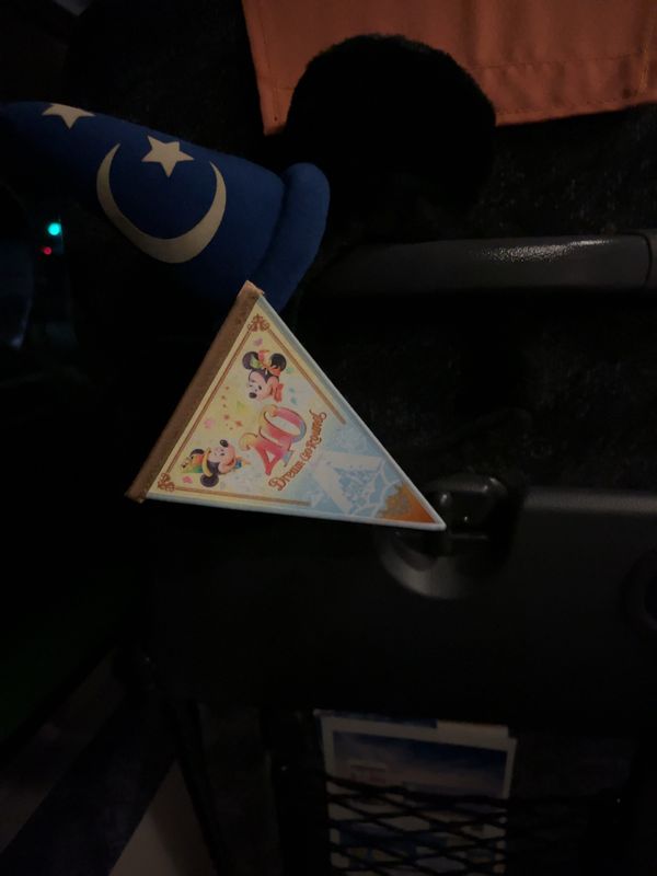 日本・千葉県「東京ディズニーランドの旅」の写真：行きの道＆エントランス