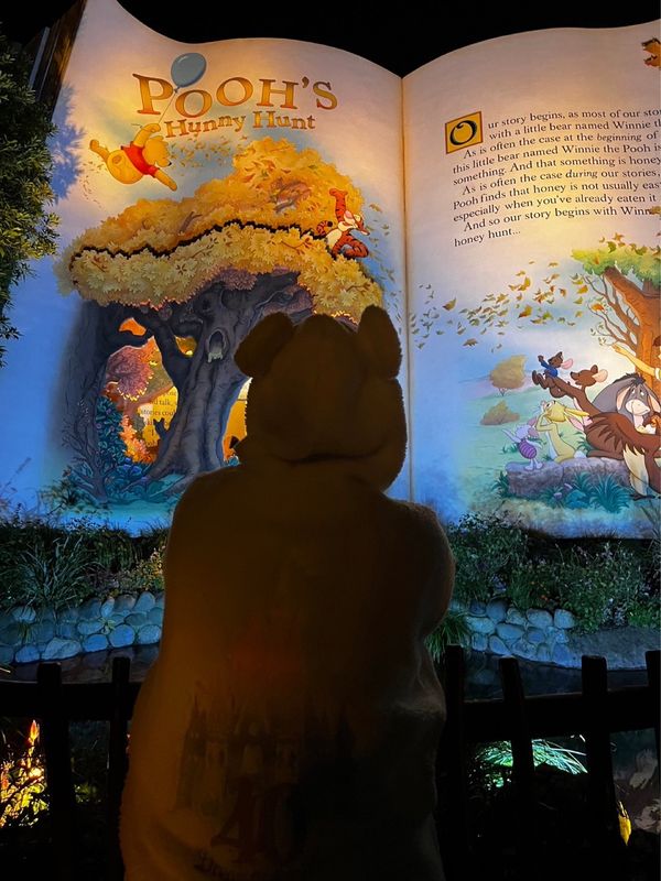 日本・千葉県「東京ディズニーランドの旅」の写真