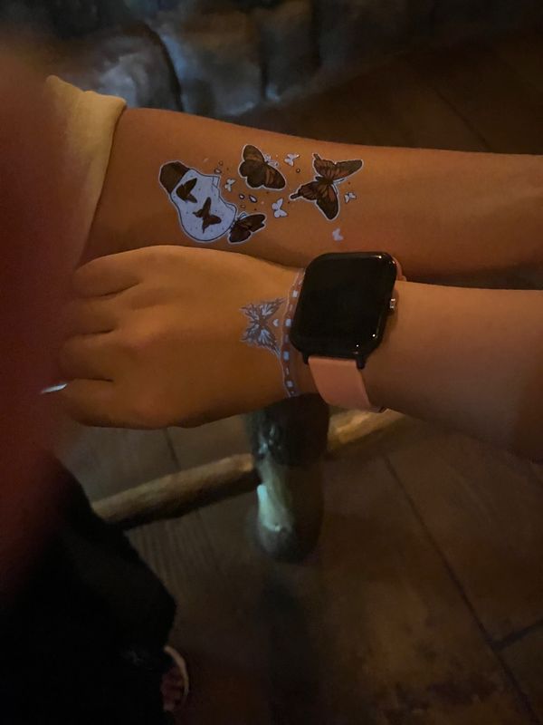 日本・千葉県「東京ディズニーランド」の写真