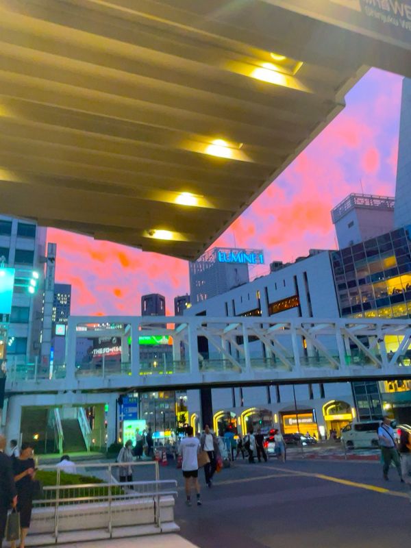 日本・千葉県「東京ディズニーランド」の写真：9/7 帰り道の新宿駅