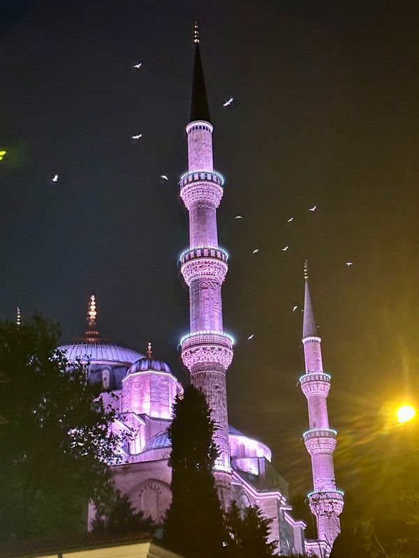 アラブ首長国連邦・ドバイ「NRT ✈︎ HKG ✈︎ DXB ✈︎ IST ✈︎ ASR ✈︎ IST ✈︎ HND」の写真：夜のブルーモスク