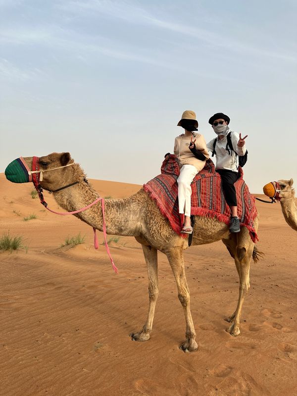 アラブ首長国連邦・ドバイ「NRT ✈︎ HKG ✈︎ DXB ✈︎ IST ✈︎ ASR ✈︎ IST ✈︎ HND」の写真：ラバブ砂漠のデザートサファリ

デューン...