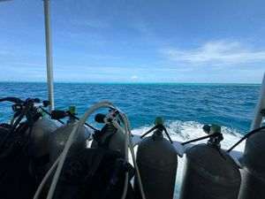 コロナ後久々のパラオ🇵🇼
楽しんできました～～🐬🏝🏖🐠☀️