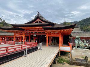 夜のZOOM ZOOMスタジアム
厳島神社の⛩️改装中。今度は足場の無い⛩...