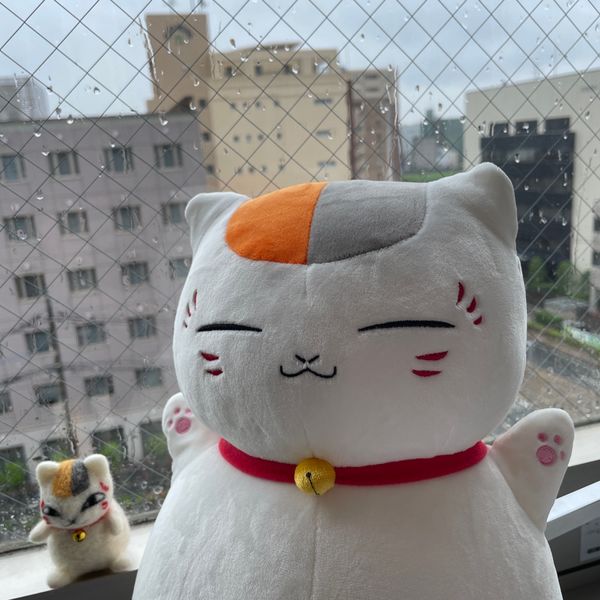 日本・熊本県「夏目友人帳聖地巡礼＆ビーバーモフり旅」の写真：100%雨の天気予報だった今日。
昨夜コ...