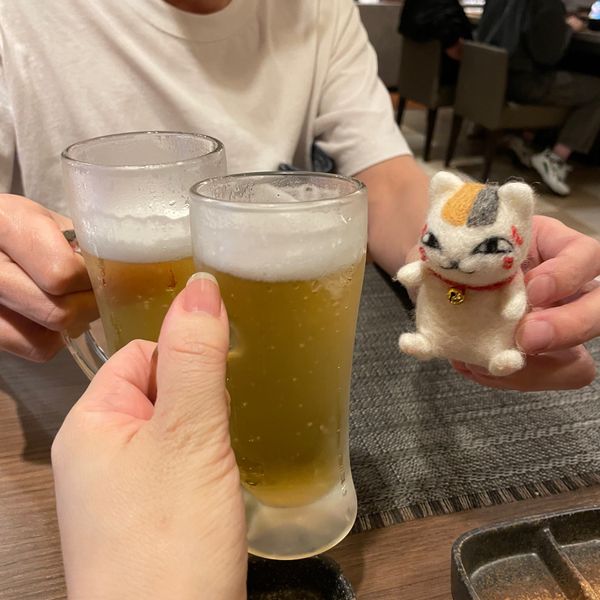 日本・熊本県「夏目友人帳聖地巡礼＆ビーバーモフり旅」の写真：ホテルの1Fに入ってるお店で晩ごはん。
...