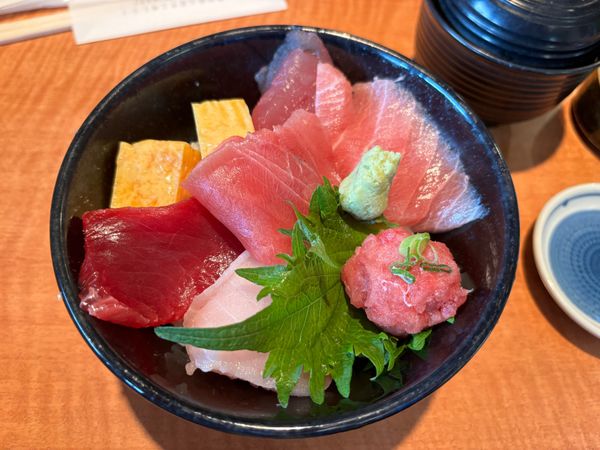 日本・神奈川県「日帰り　三崎港」の写真