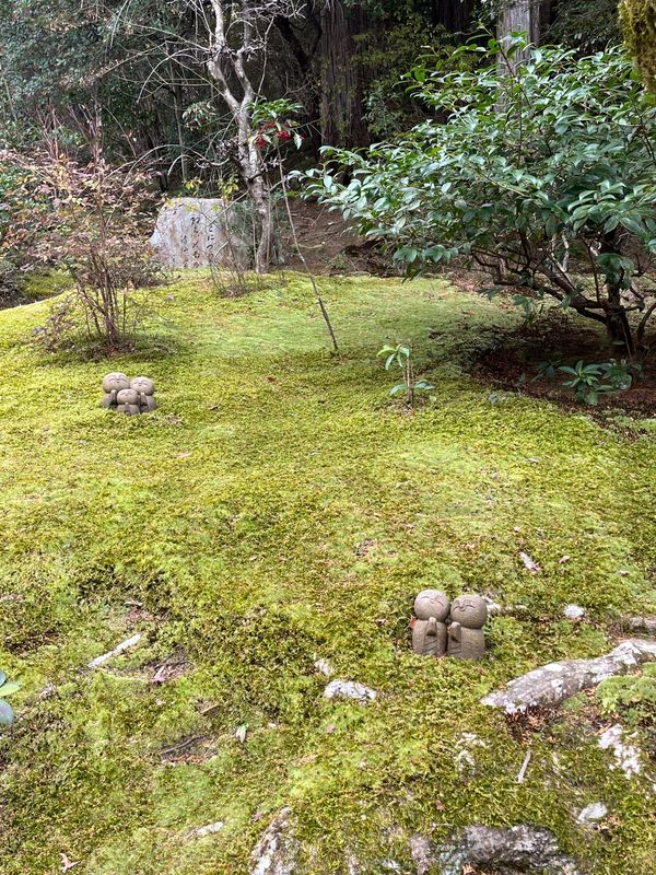 日本・京都府「京都」の写真：いつも行かない所もいっぱい行って新発見