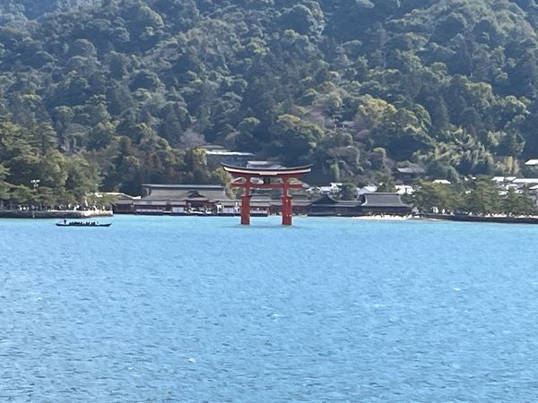 日本・広島県「広島旅行」の写真：牡蠣　穴子飯　挑戦！