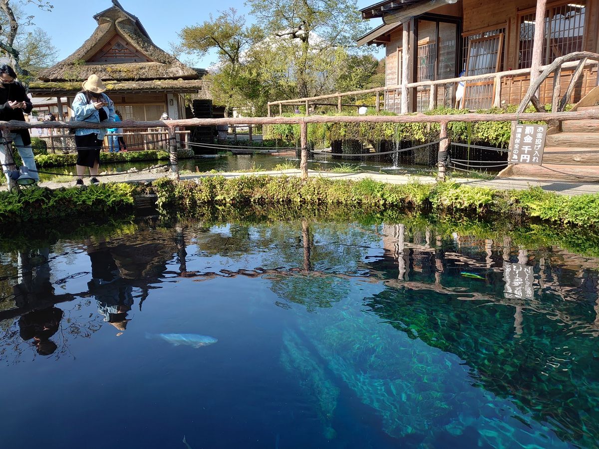 昼は秩父でとんかつ
ほうとう食いそびれ