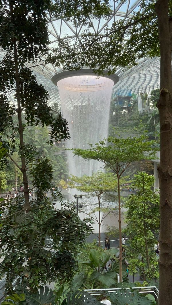 シンガポール・シンガポール「SIN✈︎」の写真