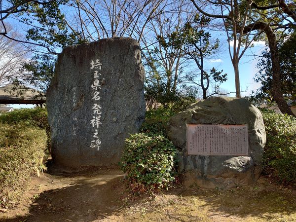 日本・埼玉県「日帰り　埼玉古墳群」の写真：埼玉古墳群からのスタバ