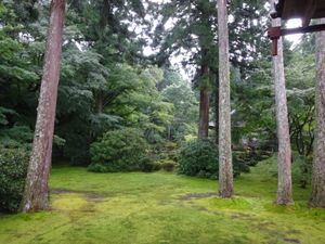 豪雨の三千院　奈良　ラストの日も豪雨