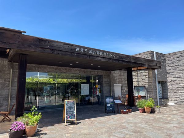 日本・千葉県「東京湾岸バードウォッチング」の写真：午後からは千葉県の谷津干潟へ。こちらもラ...